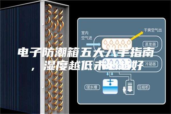 電子防潮箱五大入手指南，濕度越低未必越好