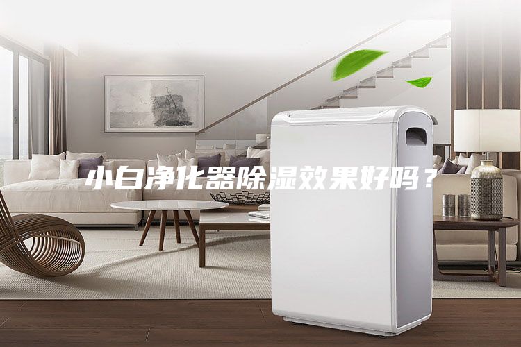 小白凈化器除濕效果好嗎？