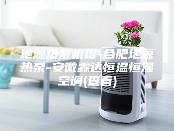 地源熱泵機(jī)組-合肥地源熱泵-安徽霖達(dá)恒溫恒濕空調(diào)(查看)